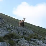 Resort Osrodek Edukacji Lesnej Lesnik W Zakopanem Zakopane