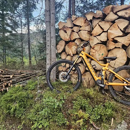 Osrodek Edukacji Lesnej Lesnik W Zakopanem *