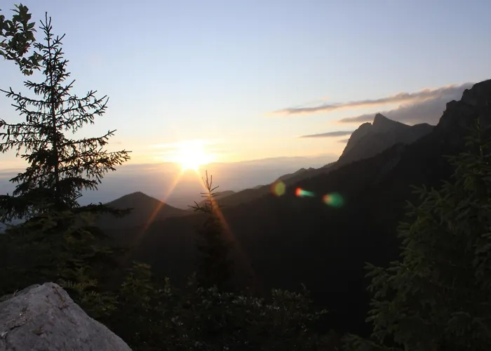 Osrodek Edukacji Lesnej Lesnik W Zakopanem זקופאנה