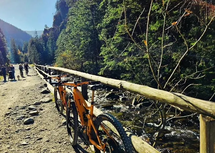Osrodek Edukacji Lesnej Lesnik W Zakopanem * זקופאנה