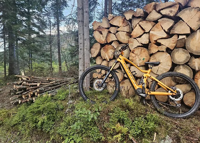 Osrodek Edukacji Lesnej Lesnik W Zakopanem *